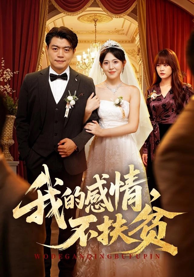 《我的感情，不扶贫》短剧封面